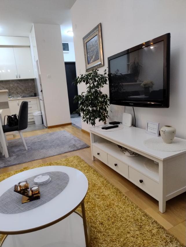 Lovely Apartment - Ljupki Stan Ποντγορίτσα Εξωτερικό φωτογραφία